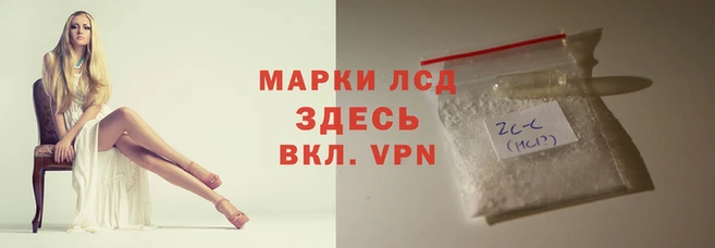 амфетамин Белокуриха