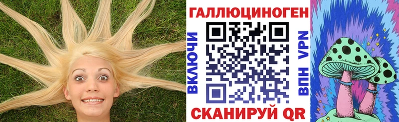 Галлюциногенные грибы Psilocybe  ОМГ ОМГ зеркало  Верхоянск 