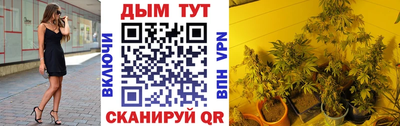 хочу наркоту Верхоянск МАРИХУАНА SATIVA & INDICA